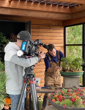 Bonsai zelkova bossage nr 221 2